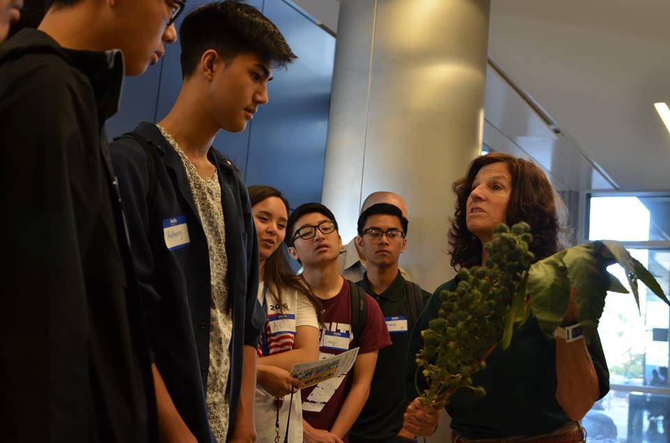 Students participating in the SEEDS Sustainability Summit at San Diego Mesa College participated in a Plantemon Go activity, where they learned about sustainable plants on campus.